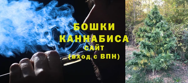 PSILOCYBIN Бугульма