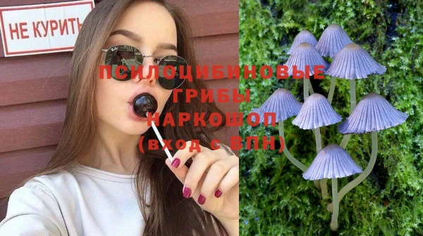прущие крисы Богородск