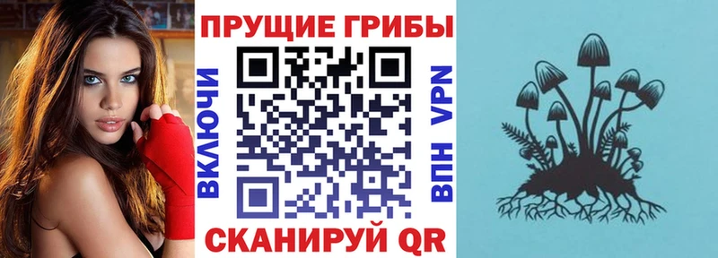 Галлюциногенные грибы мицелий  Котельниково 